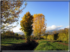 foto Paesaggi Autunnali tra le colline Fontesi